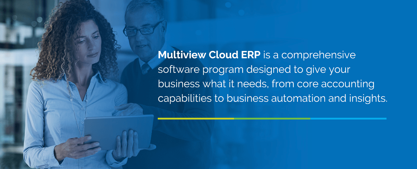 Multiview Cloud ERP is a comprehensive software program designed to give your business what it needs, from core accounting capabilities to business automation and insights.