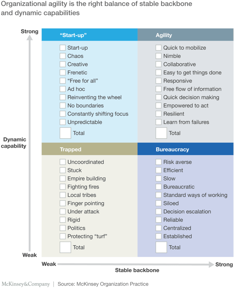 organizational-agility-graph