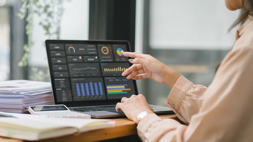 Woman using financial management software.