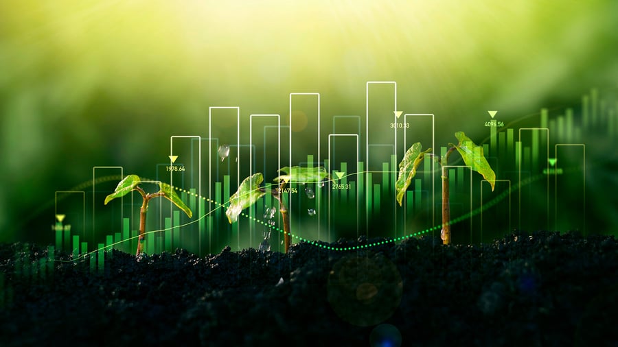 Financial growth using Multiview ERP