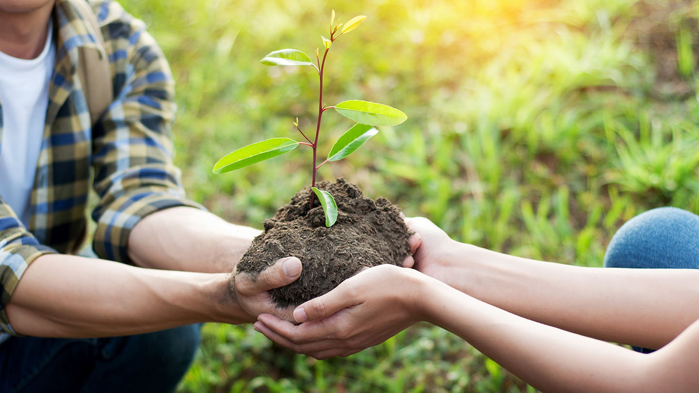 planting-together-1440x810